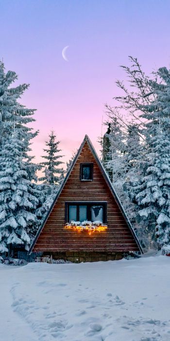 Slovakia, a house in the woods Wallpaper 720x1440
