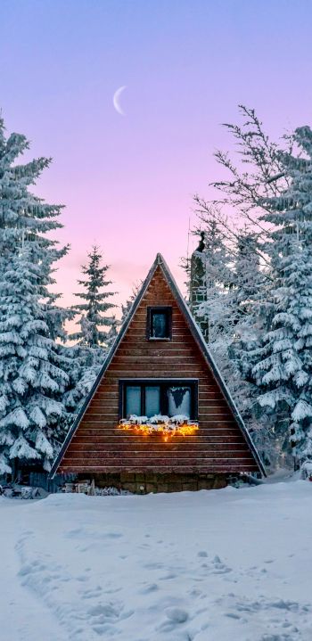 Slovakia, a house in the woods Wallpaper 1440x2960