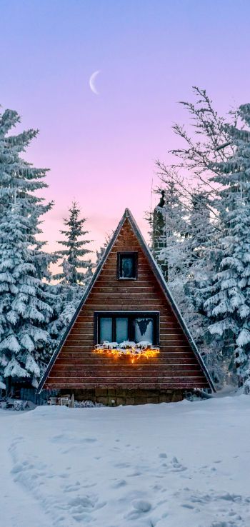 Slovakia, a house in the woods Wallpaper 1080x2280