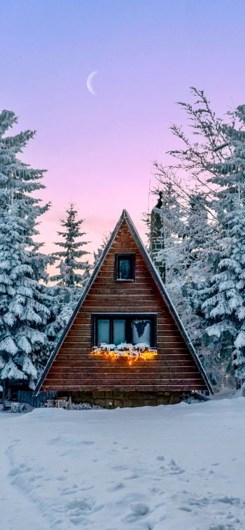Slovakia, a house in the woods Wallpaper 1125x2436