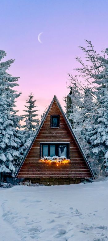 Slovakia, a house in the woods Wallpaper 1080x2400