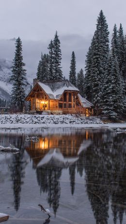 lake house, trees Wallpaper 640x1136