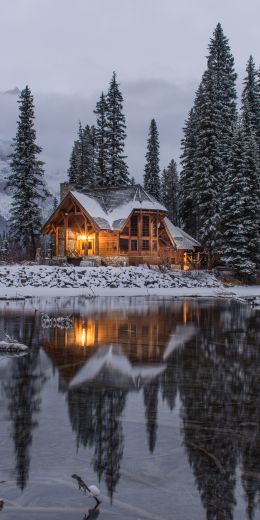 lake house, trees Wallpaper 720x1440