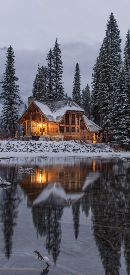 lake house, trees Wallpaper 1440x3040