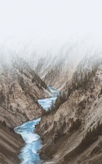 Yellowstone National Park, USA Wallpaper 1600x2560