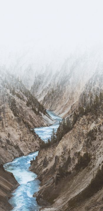 Yellowstone National Park, USA Wallpaper 1440x2960
