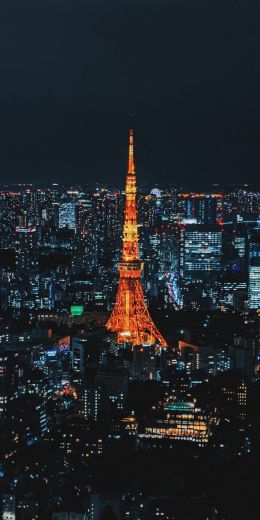 Tokyo, Japan, night city Wallpaper 720x1440