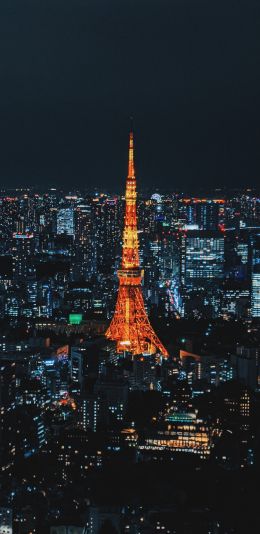 Tokyo, Japan, night city Wallpaper 1440x2960