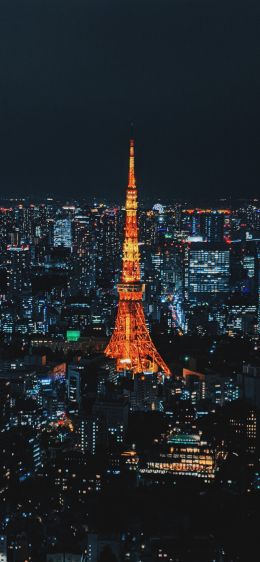 Tokyo, Japan, night city Wallpaper 1170x2532