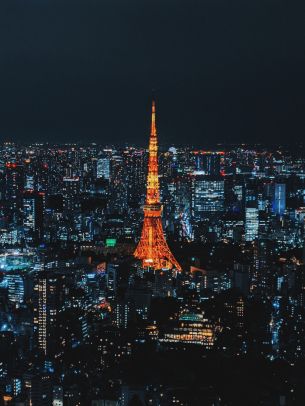 Tokyo, Japan, night city Wallpaper 3024x4032