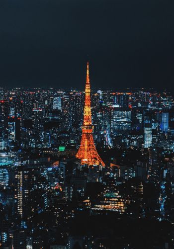 Tokyo, Japan, night city Wallpaper 1668x2388