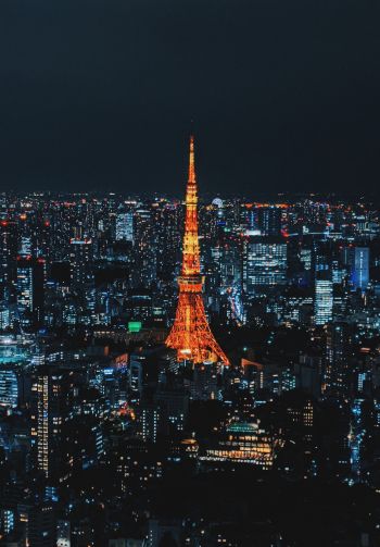Tokyo, Japan, night city Wallpaper 1640x2360