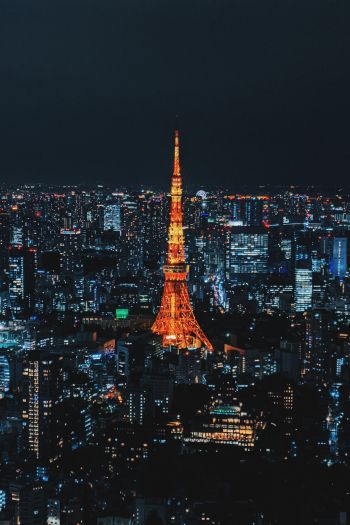 Обои 640x960 Токио, Япония, ночной город