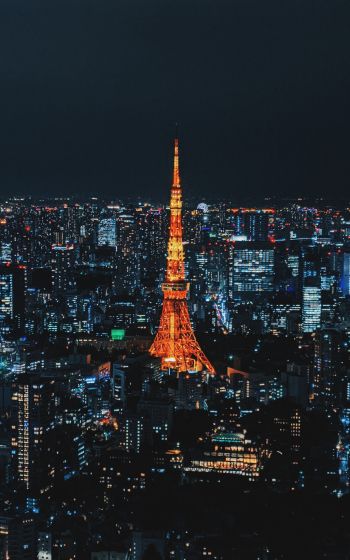 Tokyo, Japan, night city Wallpaper 800x1280