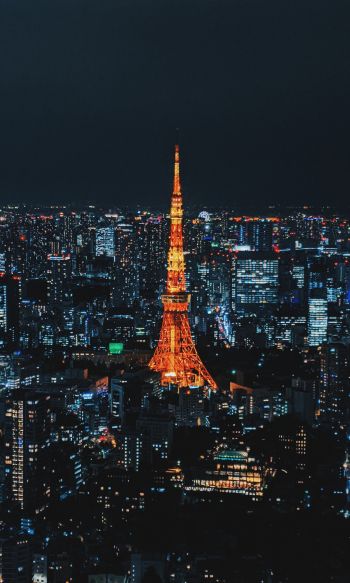 Tokyo, Japan, night city Wallpaper 1200x2000