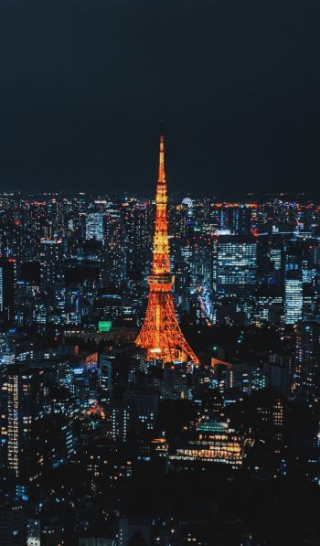 Tokyo, Japan, night city Wallpaper 600x1024