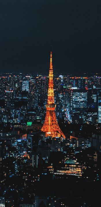 Обои 1080x2220 Токио, Япония, ночной город