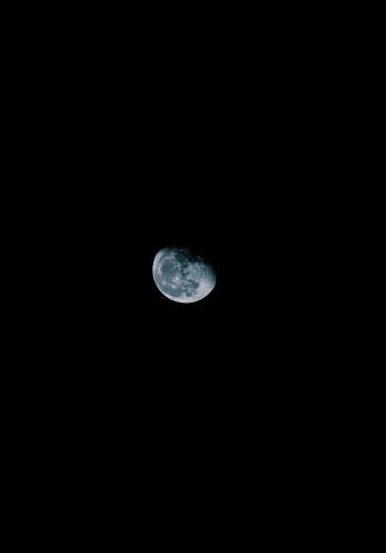 Обои 1668x2388 луна, ночь, небо