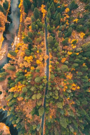 top view, forest, road Wallpaper 3648x5472