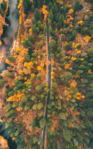 top view, forest, road Wallpaper 1752x2800