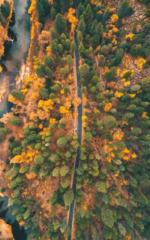 top view, forest, road Wallpaper 800x1280