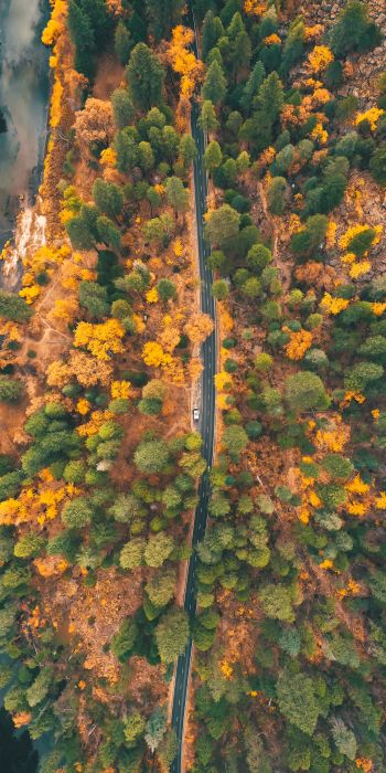 top view, forest, road Wallpaper 720x1440