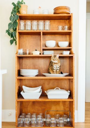 closet, cat, cookware Wallpaper 1668x2388