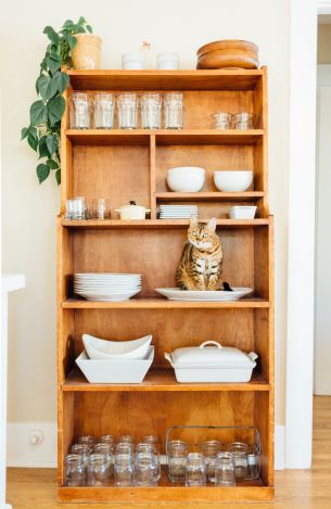 closet, cat, cookware Wallpaper 3533x5436