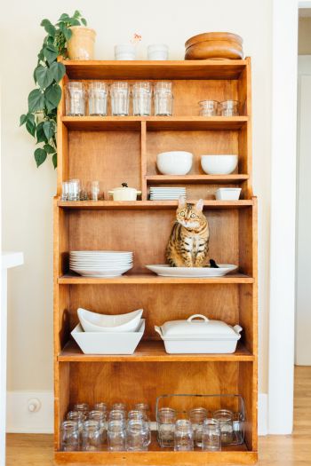 closet, cat, cookware Wallpaper 640x960