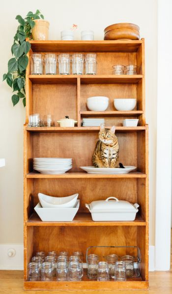 closet, cat, cookware Wallpaper 600x1024