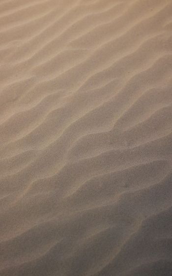 Обои 1600x2560 песок, рябь, светлый