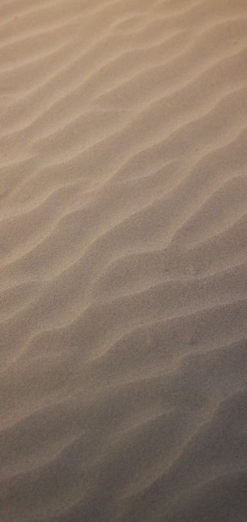sand, ripple, light Wallpaper 1440x3040
