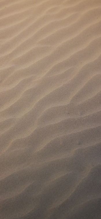 sand, ripple, light Wallpaper 1125x2436