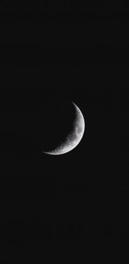 night, crescent, black Wallpaper 1440x2960