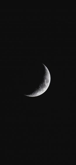 night, crescent, black Wallpaper 828x1792