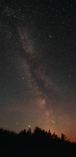 milky way, night, stars Wallpaper 1080x2220