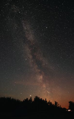 milky way, night, stars Wallpaper 1752x2800