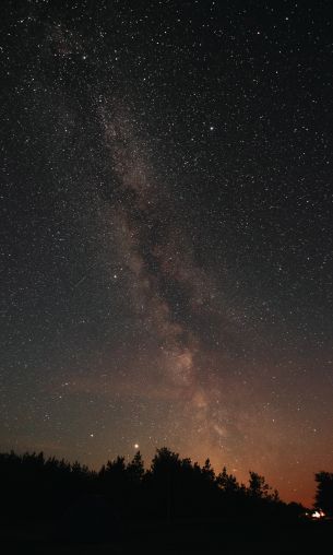 milky way, night, stars Wallpaper 1200x2000