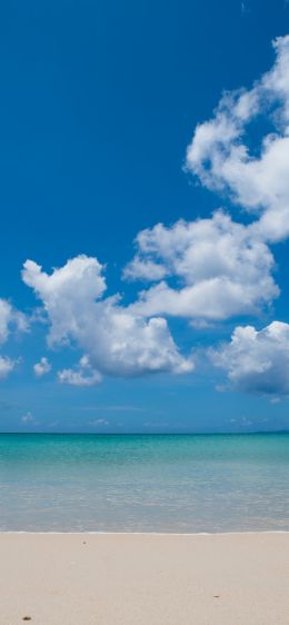 shore, clouds, sea, sand Wallpaper 828x1792