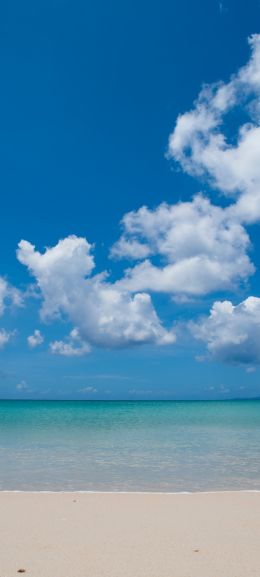 shore, clouds, sea, sand Wallpaper 1080x2400