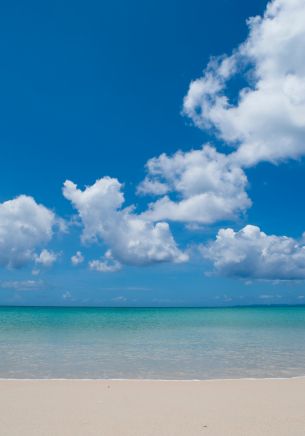 shore, clouds, sea, sand Wallpaper 1668x2388