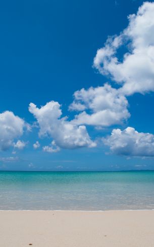 shore, clouds, sea, sand Wallpaper 800x1280