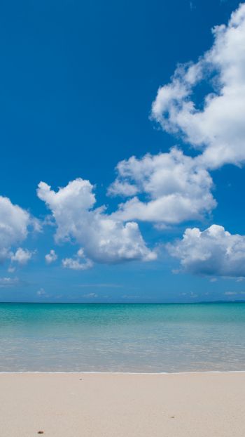 Обои 1440x2560 берег, облака, море, песок