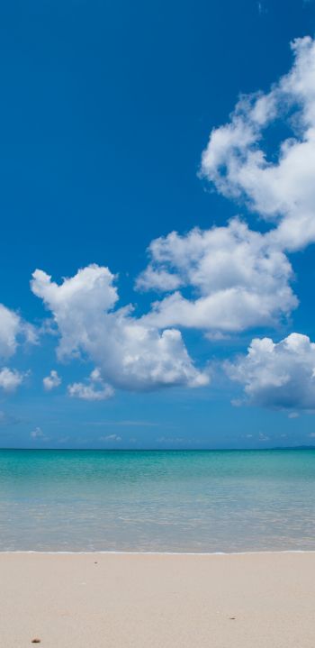Обои 1080x2220 берег, облака, море, песок