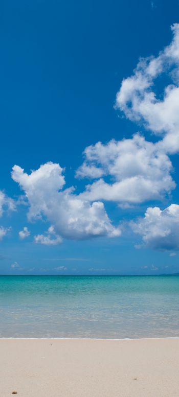 Обои 720x1600 берег, облака, море, песок