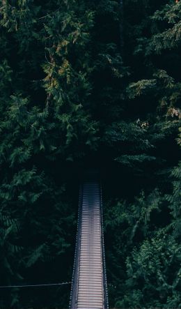 forest, trees, green, bridge Wallpaper 600x1024