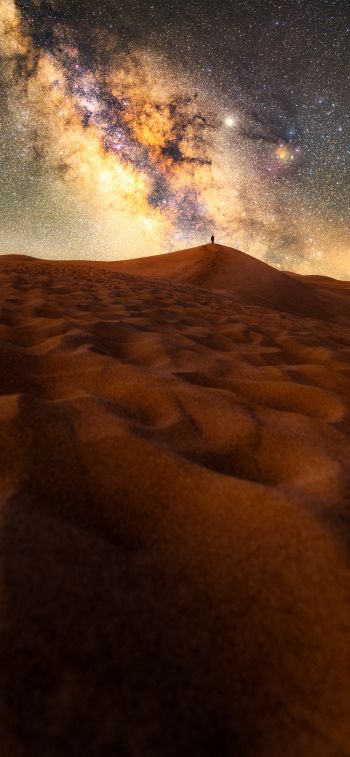 desert, milky way, night Wallpaper 828x1792