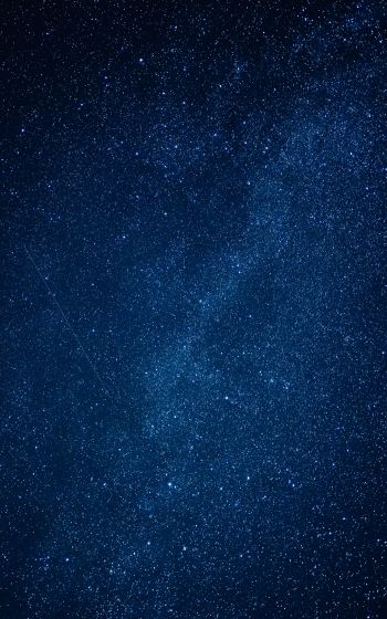 stars, night, starry sky Wallpaper 1600x2560