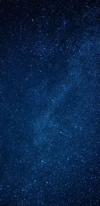 stars, night, starry sky Wallpaper 1440x2960