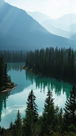 Canada, river, forest Wallpaper 640x1136